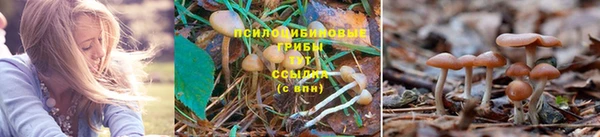 метамфетамин Алзамай