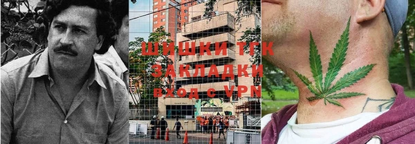 дживик Алексин