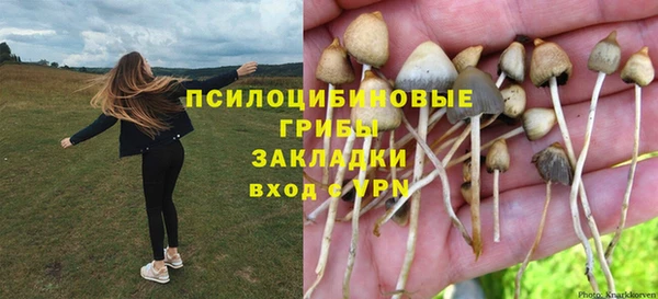 марки lsd Армянск