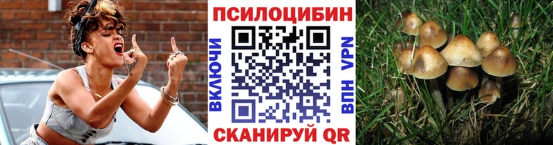 Галлюциногенные грибы GOLDEN TEACHER  хочу наркоту  Пущино 